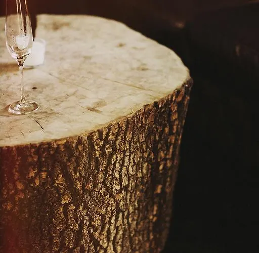 Отель Hot_Elarnia Hotel & Spa